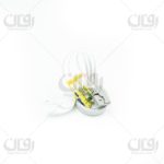 کیت غربیلک (حلزونی غربیلک)206