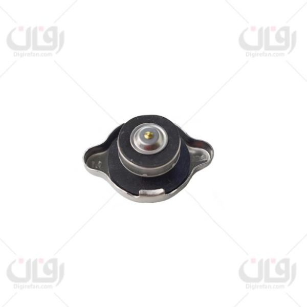 درب رادیاتور ریو آیس
