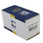 پتاسیومترپرایدساژم طرح فلش(ایرکا)