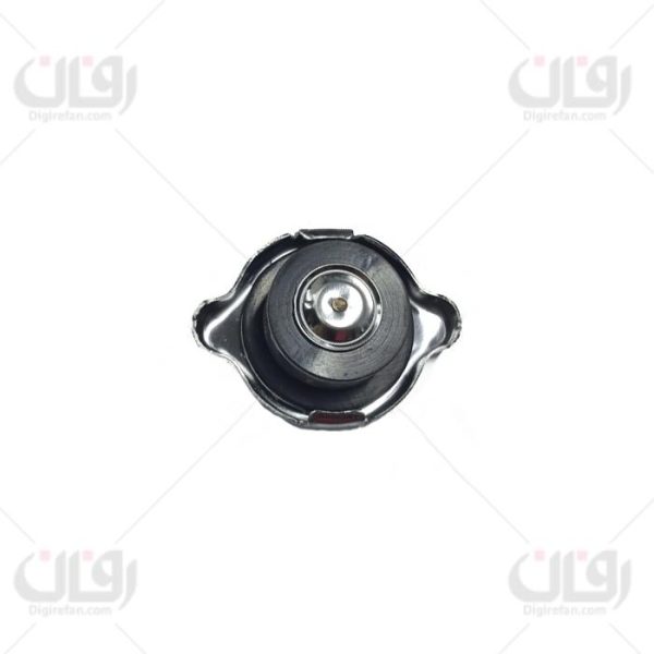 درب رادیاتورریو(کبسون)(415)