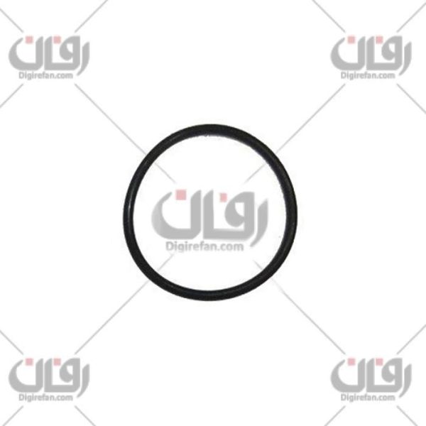 اورینگ واترپمپ206تیپ2(آراد)(20 عددی)