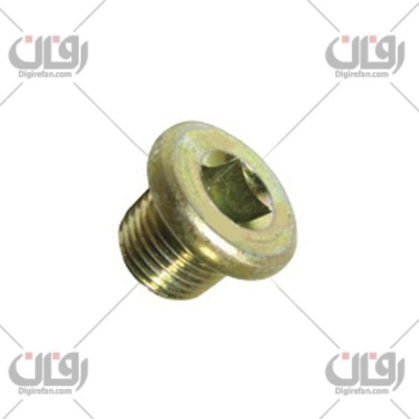 پیچ تخلیه کارتل206 (20 عددی) ++ (آراد)