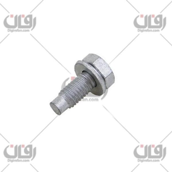 پیچ دیسک صفحه405(50 عددی) (آراد)