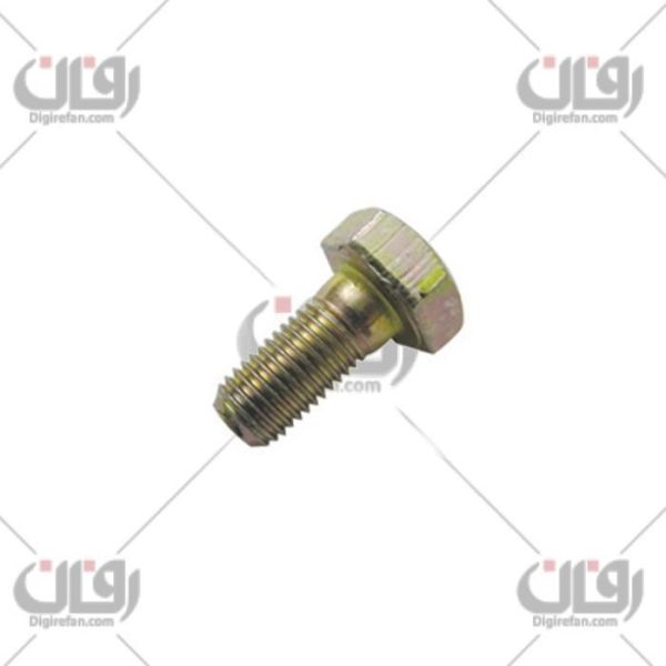 پیچ دیسک صفحه پراید(آراد)(50 عددی)