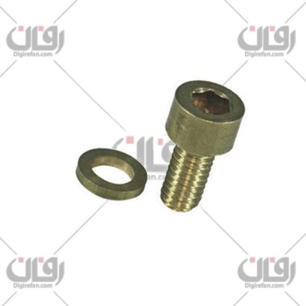 پیچ هواگیری سرسیلندرآلنی405(50عددی) (آراد)