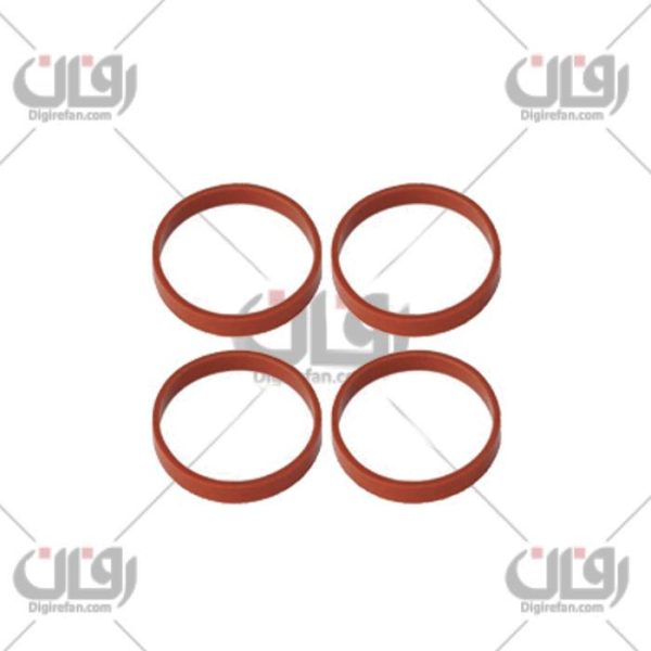 واشرمنیفولد206تیپ5(آراد)++